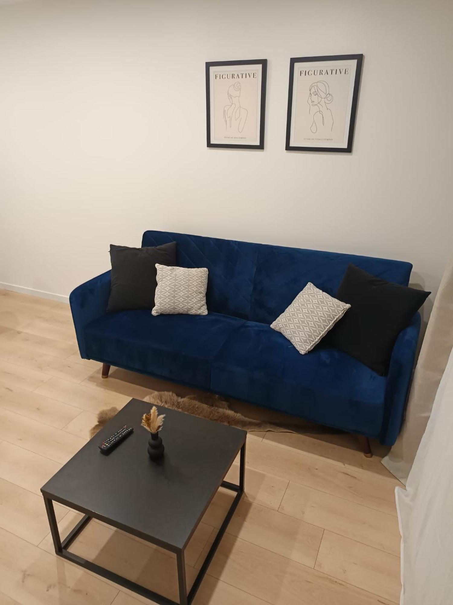 Superbe Appartement ! Saint-Etienne  Eksteriør bilde