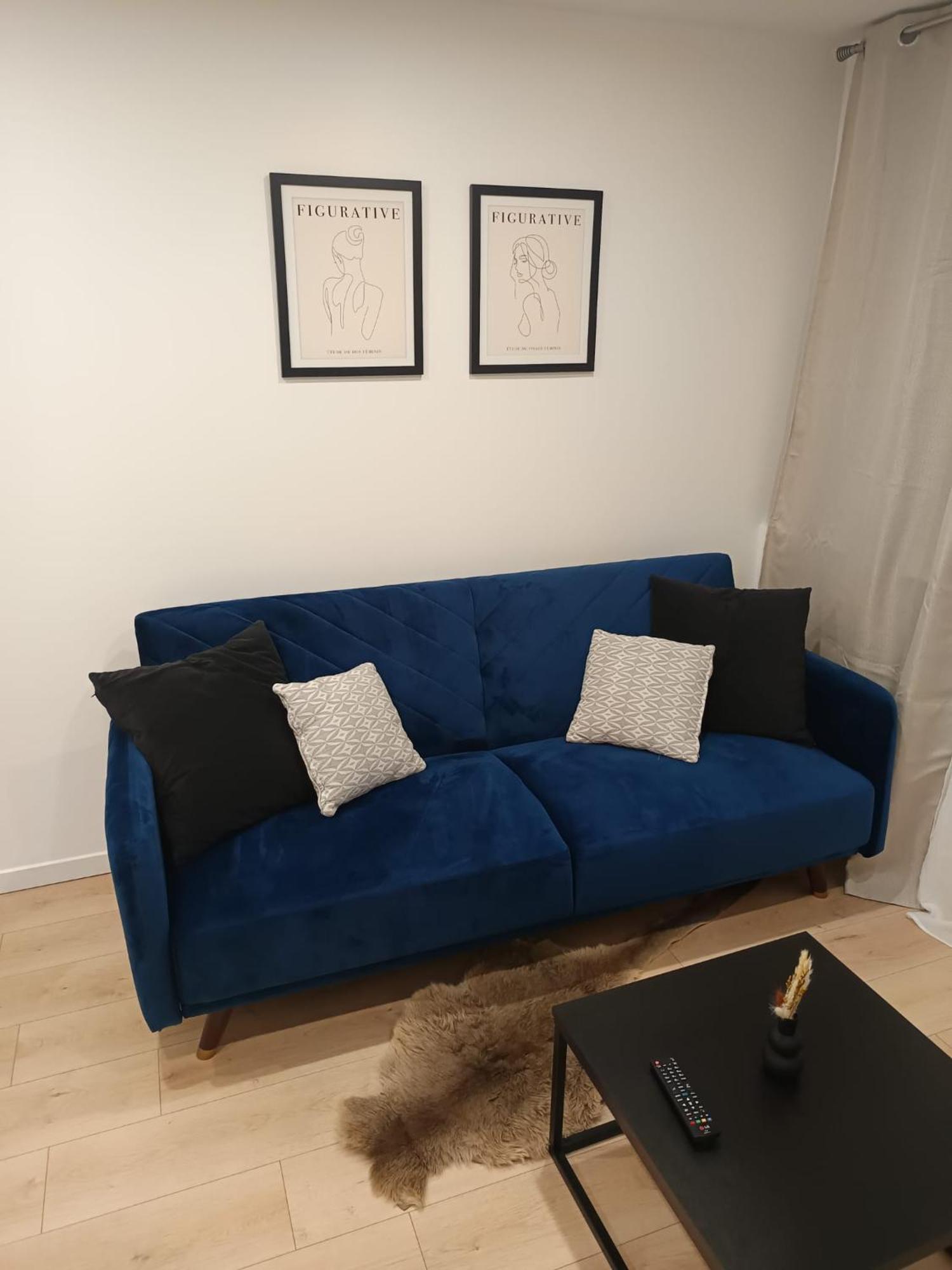 Superbe Appartement ! Saint-Etienne  Eksteriør bilde